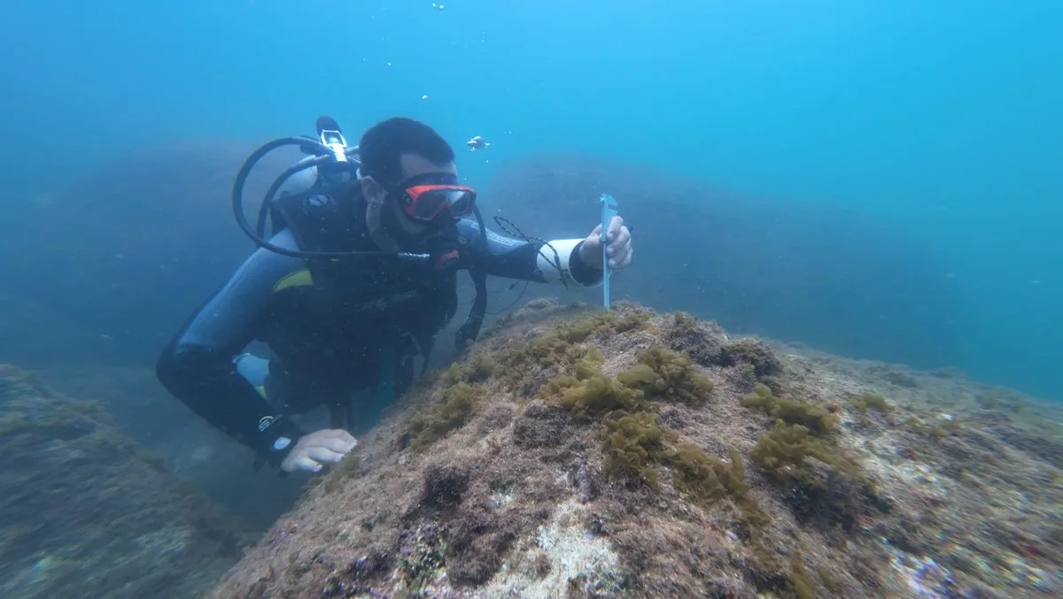 Pesquisador realizando monitoramento subaquático na Reserva Biológica do Arvoredo, SC