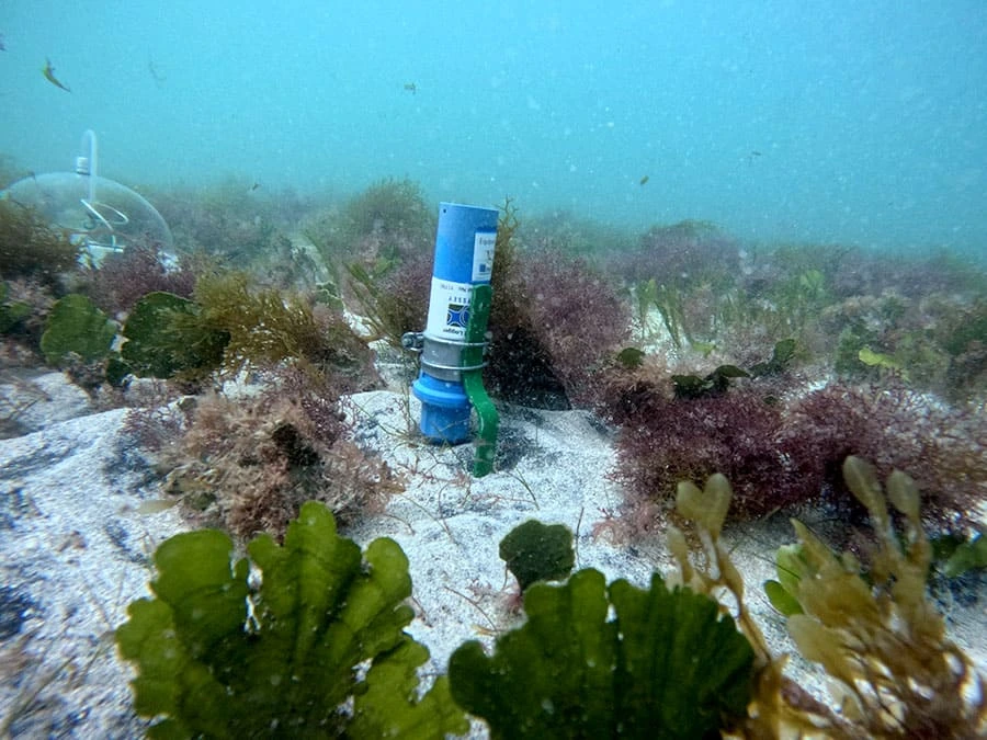 Equipamento instalado entre algas durante experimento subaquático em Abrolhos