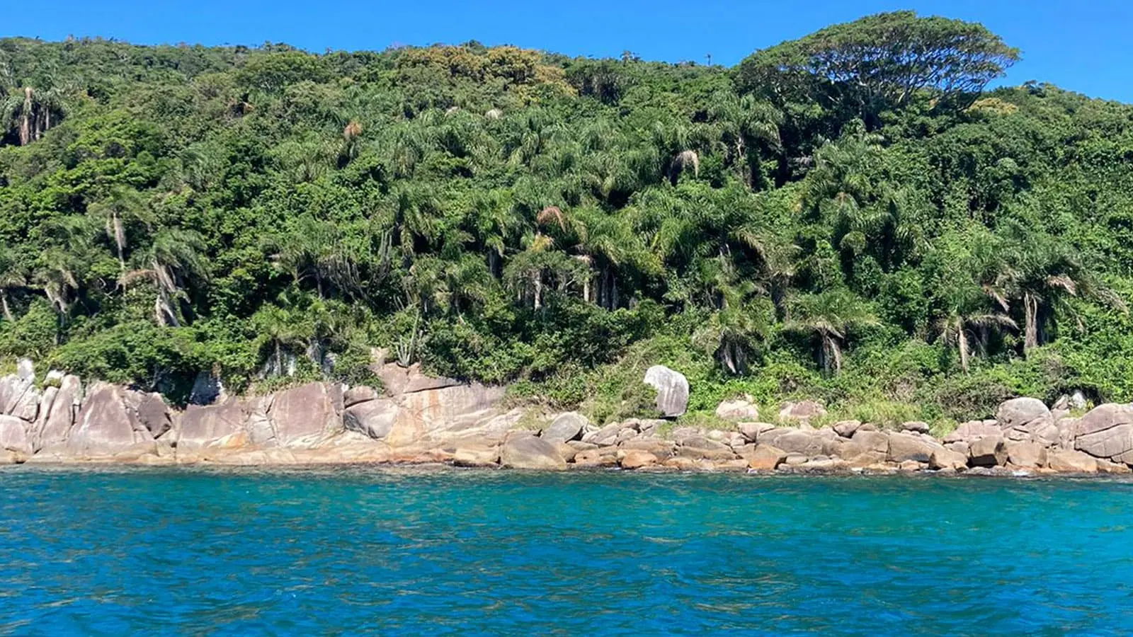 Vista da Ilha do Arvoredo durante expedição científica
