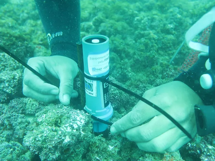 Equipamento de medição instalado no substrato durante experimento subaquático na Ilha do Arvoredo