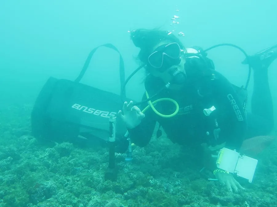 Mergulhadora durante atividade de campo no banco de rodolitos da Ilha do Arvoredo