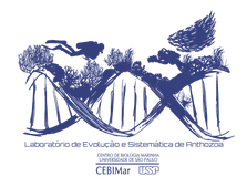 Logo institucional relacionado a Dr. Marcelo V. Kitahara