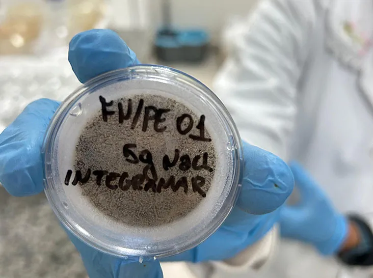 Amostra de material particulado para análise de microplásticos