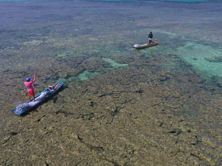 Monitoramento por drone em área costeira usada pela pesca