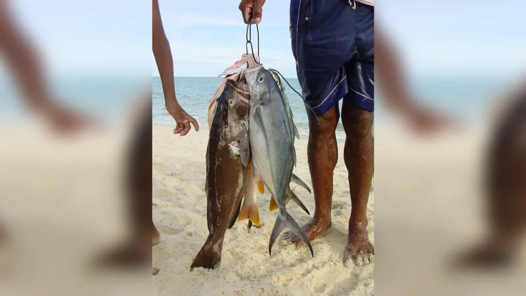 Captura de peixes recifais desembarcada na praia. Foto: Ronaldo Francini-Filho.
