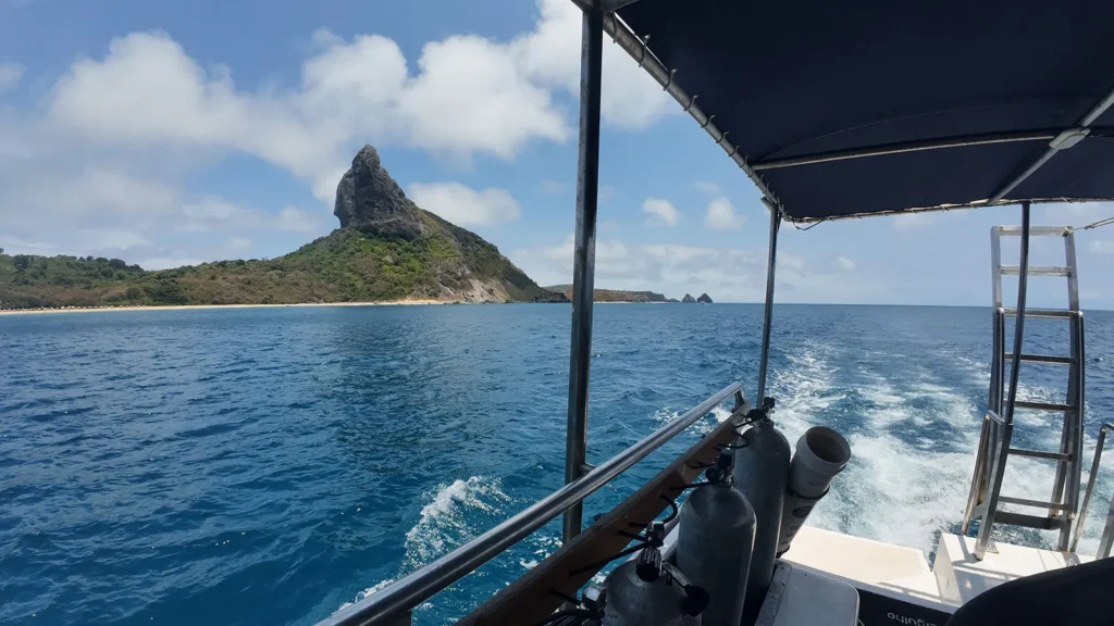 Estudo mostra como a geografia das ilhas oceânicas influencia as comunidades de peixes recifais